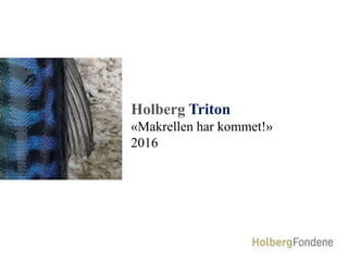 1
Holberg Triton
«Makrellen har kommet!»
2016
 