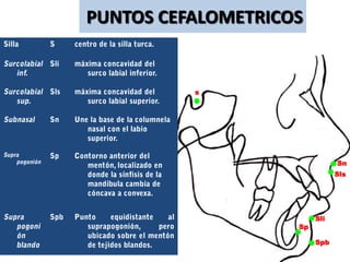 PUNTOS CEFALOMETRICOS


          s




                               Sn
                               Sls




                         Sli
                    Sp

                         Spb
 