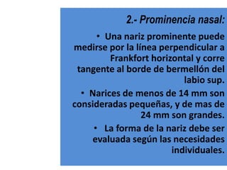 2.- Prominencia nasal:
      • Una nariz prominente puede
medirse por la línea perpendicular a
         Frankfort horizontal y corre
 tangente al borde de bermellón del
                           labio sup.
  • Narices de menos de 14 mm son
consideradas pequeñas, y de mas de
                 24 mm son grandes.
     • La forma de la nariz debe ser
    evaluada según las necesidades
                        individuales.
 