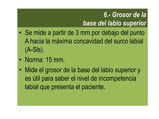 6.- Grosor de la
                          base del labio superior
• Se mide a partir de 3 mm por debajo del punto
  A hacia la máxima concavidad del surco labial
  (A-Sls).
• Norma: 15 mm.
• Mide el grosor de la base del labio superior y
  es útil para saber el nivel de incompetencia
  labial que presenta el paciente.
 