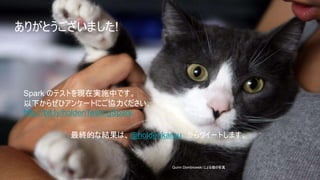 24
24IBM Spark 24
Quinn Dombrowski による猫の写真
ありがとうございました!
Spark のテストを現在実施中です。
以下からぜひアンケートにご協力ください。
http://bit.ly/holdenTestingSpark
最終的な結果は、@holdenkarau からツイートします。
 