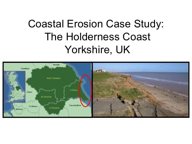 How to prevent coastal erosion picture