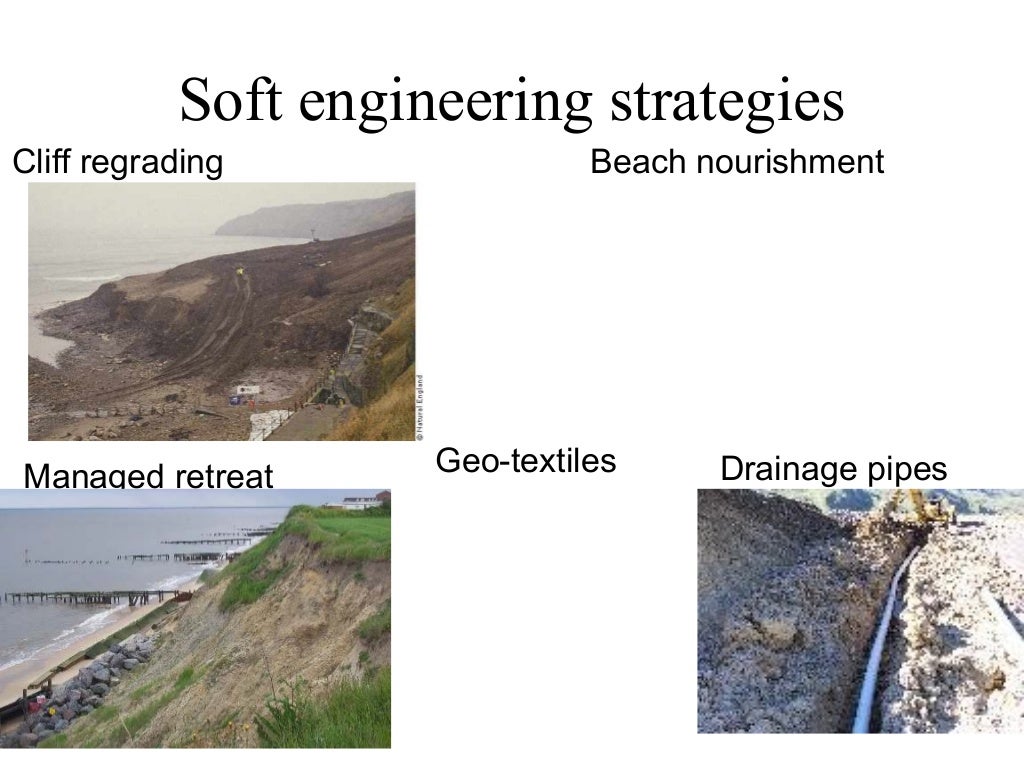 Holderness Coastline Management