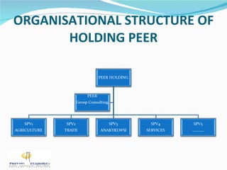 ORGANISATIONAL STRUCTURE OF HOLDING PEER 