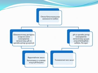 Онош баталгаажуулах
шинжилгээ хийнэ
Шинжилгээнд деструкц
илэрсэн эсвэл
консерватив
эмчилгээнд 48-72
цагийн дотор үр дүнгүй
Яаралтай мэс засал:
Хагалгаанд 2-4 цагаас
илүүгүй бэлдэнэ
48-72 цагийн дотор
консерватив
эмчилгээнд үр дүн
өгвөл(Atrhophini
sulfatis, No-spa)
Төлөвлөгөөт мэс засал
 