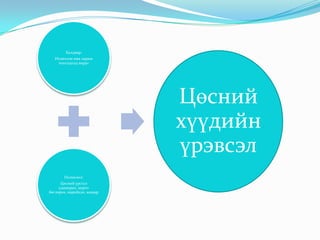 Халдвар:
Ихэвчлэн нян зарим
тохолдолд вирус
Нөлөөлөл:
Цөсний урсгал
удаашрах, цорго
бөглөрөх, нарийсах, хавдар
Цөсний
хүүдийн
үрэвсэл
 