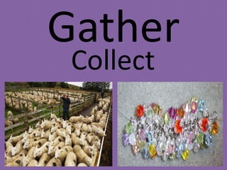 Gather
 Collect
 