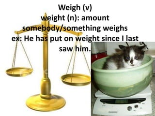 Weigh (v)
        weight (n): amount
   somebody/something weighs
ex: He has put on weight since I last
             saw him.
 