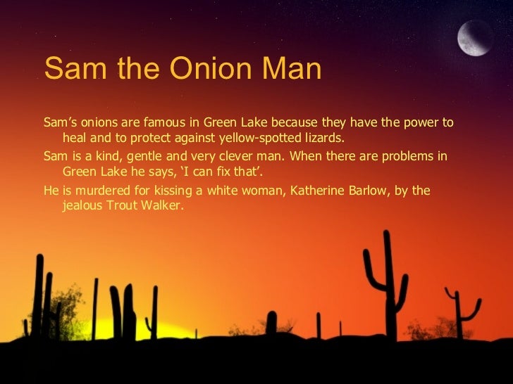 Holes Sam I Can Fix That picola