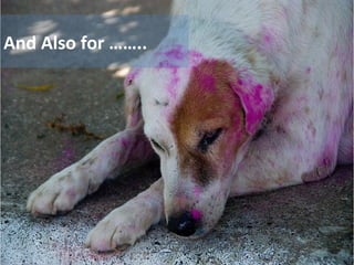 And Also for …….. 