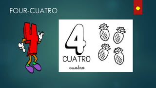 FOUR-CUATRO