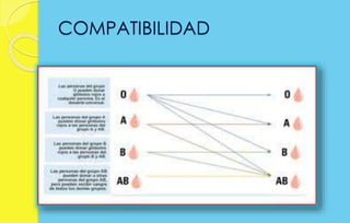 COMPATIBILIDAD 
 
