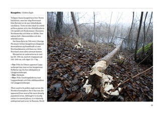 Kungsörn / Golden Eagle

Tidigare fanns kungsörnen över Norra
halvklotet, men har idag försvunnit
från flertalet av de mer tätbefolkade
områdena. Trots att den lokalt är utdöd
på flera platser så är den förhållandevis
vitt spridd och förekommer i Eurasien,
Nordamerika och delar av Afrika. Den
saknas helt i ökenområden och den
arktiska zonen.
   Det finns färre än 700 revir i Sverige.
På senare tid har kungsörnen långsamt
återetablerat sig framförallt ut mot
Norrlandskusten och finns nu i hela
Norrland utom allra närmast kusten.
   Merparten av underarterna är mel­
lan 65–100 cm, med ett vingspann på
150–240 cm, och väger 2,5–7 kg.

• Var: Från ön Olmen uppemot Lapp­
moberget kan man se hur kungsörnar
förflyttar sig. En bra utkiksplats är
Långgravelsberget.
• När: Närhelst.
• Hur: Från Vandringslederna runt
Lappmoberget och från utkikspunkten
vid Långgravelsberget.

There used to be golden eagle across the
Northen hemisphere, but it has now dis-
appeared from most of the more densely
populated areas. Although it is locally
extinct in several places, it is relatively
widespread and occur in Eurasia, North

                                              31
 