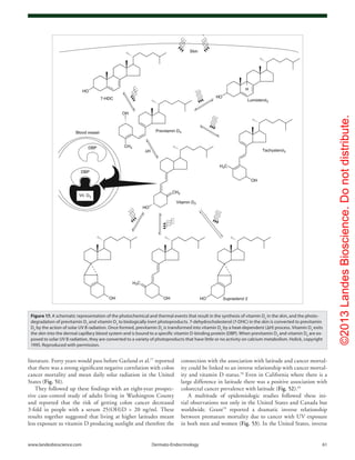 ©2013LandesBioscience.Donotdistribute.
www.landesbioscience.com	Dermato-Endocrinology	 61
connection with the association with latitude and cancer mortal-
ity could be linked to an inverse relationship with cancer mortal-
ity and vitamin D status.78
Even in California where there is a
large difference in latitude there was a positive association with
colorectal cancer prevalence with latitude (Fig. 52).45
A multitude of epidemiologic studies followed these ini-
tial observations not only in the United States and Canada but
worldwide. Grant79
reported a dramatic inverse relationship
between premature mortality due to cancer with UV exposure
in both men and women (Fig. 53). In the United States, inverse
literature. Forty years would pass before Garland et al.77
reported
that there was a strong significant negative correlation with colon
cancer mortality and mean daily solar radiation in the United
States (Fig. 51).
They followed up these findings with an eight-year prospec-
tive case-control study of adults living in Washington County
and reported that the risk of getting colon cancer decreased
3-fold in people with a serum 25(OH)D > 20 ng/ml. These
results together suggested that living at higher latitudes meant
less exposure to vitamin D producing sunlight and therefore the
Figure 17. A schematic representation of the photochemical and thermal events that result in the synthesis of vitamin D3
in the skin, and the photo-
degradation of previtamin D3
and vitamin D3
to biologically inert photoproducts. 7-dehydrocholesterol (7-DHC) in the skin is converted to previtamin
D3
by the action of solar UV B radiation. Once formed, previtamin D3
is transformed into vitamin D3
by a heat-dependent (ΔH) process. Vitamin D3
exits
the skin into the dermal capillary blood system and is bound to a specific vitamin D-binding protein (DBP). When previtamin D3
and vitamin D3
are ex-
posed to solar UV B radiation, they are converted to a variety of photoproducts that have little or no activity on calcium metabolism. Holick, copyright
1995. Reproduced with permission.
 