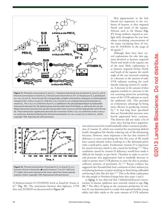 ©2013LandesBioscience.Donotdistribute.
58	 Dermato-Endocrinology	Volume 5 Issue 1
Skin pigmentation or the lack
thereof was important in the evo-
lution of humans as they migrated
North and South of the equator.
Africans such as the Maasai (Fig.
37) living outdoors exposed to sun-
light daily throughout the year have
robust circulating concentrations of
the major circulating form of vita-
min D, 25(OH)D, in the range of
46 ng/mL.53
Although there have been sev-
eral explanations for why skin pig-
ment devolved as humans migrated
North and South of the equator one
of the most likely explanations is
as humans migrated farther North
and South of the equator the zenith
angle of the sun increased resulting
in a decrease in the amount of solar
UVB radiation reaching the earth
thereby reducing vitamin D3
synthe-
sis. A decrease in the amount of skin
pigment resulted in a decrease in the
sun screening protection permitting
more of the UVB radiation to reach
the epidermal cells. This provided
an evolutionary advantage by being
more efficient in producing vitamin
D3
.49
It had long been speculated
that our Neanderthal ancestors were
heavily pigmented hairy creatures.
This however did not make a lot of
sense since having heavy pigmenta-
tion and excessive hair would markedly reduce cutaneous produc-
tion of vitamin D3
which was essential for maximizing skeletal
health throughout life thereby reducing risk of life-threatening
fractures. However, more important is the fact that vitamin D
deficiency in utero and during the first few years of life would
have caused infantile rickets resulting in a flat deformed pelvis
with a small pelvic outlet. Furthermore vitamin D is important
for muscle function which is also crucial for birthing.22,54
These
conditions caused by vitamin D deficiency would have made it
difficult for females to give birth. Therefore in order to survive
and procreate skin pigmentation had to markedly decrease in
order to permit more UVB photons to enter the skin to produce
sufficient amounts of previtamin D3
.54,55
Recent evidence has
suggested that Neanderthals had a mutation of their melanocyte
stimulating hormone receptor resulting in them being redheaded
and having Celtic-like fair skin.56,57
This is the likely explanation
for why people in Northern Europe have skin types 1 and 2.
c) Aging. It was observed that 7-dehydrocholesterol concen-
trations in human epidermis were inversely related to age (Fig.
38).58
The effect of aging on the cutaneous production of vita-
min D3
was demonstrated in a study that exposed healthy young
adults and older adults to the same amount of UVB radiation
25-hydroxyvitamin D [25(OH)D] levels as found by Armas et
al.52
(Fig. 35). The associations between skin lightness, UVB
dose and 25(OH)D are documented in Figure 36.
Figure 11. Photolysis of provitamin D3
(pro-D3
, 7-dehydrocholesterol) into previtamin D3
(pre-D3
) and its
thermal isomerization to vitamin D3
in hexane and in lizard skin at 25°C. In hexane pro-D3
is photolyzed
to s-cis,s-cis-pre-D3
. Once formed, this energetically unstable conformation undergoes a conformational
change to the s-trans,s-cis-pre-D3
. Only the s-cis,s-cis-pre-D3
can undergo thermal isomerization to
vitamin D3
. The s-cis,s-cis conformer of pre-D3
is stabilized in the phospholipid bilayer by hydrophilic
interactions between the 3β-hydroxl group and the polar head of the lipids, as well as by the van der
Waals interactions between the steroid ring and side-chain structure and the hydrophobic tail of the lip-
ids. These interactions significantly decrease the conversion of the s-cis,s-cis conformer to the s-trans,s-
cis conformer, thereby facilitating the thermal isomerization of s-cis,s-cis-pre-D3
to vitamin D3
. Holick,
copyright 1995. Reproduced with permission.
Figure 12. Thermal isomerization of previtamin D3
to vitamin D3
as a
function of time in lizard skin (●) and in hexane (□) at 25°C (left) and
5°C (right). Each point represents the mean value from three separate
analyses. Holick, copyright 1995. Reproduced with permission.
 