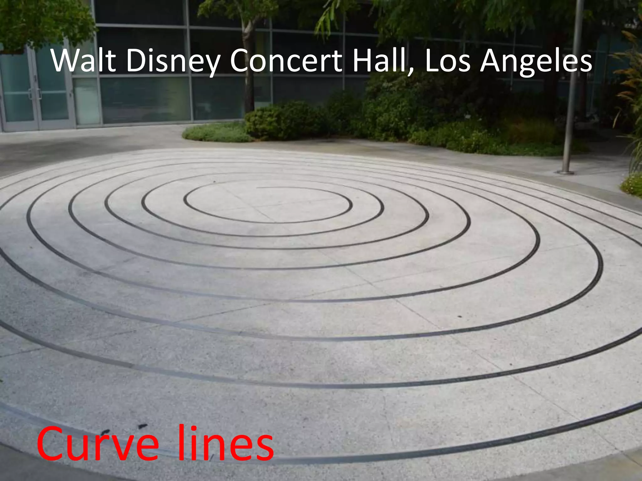 Curve lines
Walt Disney Concert Hall, Los Angeles