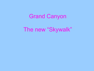 Grand Canyon
The new “Skywalk”
 