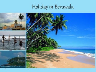 Holiday in Beruwala
 