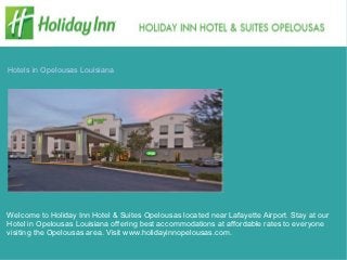 Hotels in Opelousas Louisiana




Welcome to Holiday Inn Hotel & Suites Opelousas located near Lafayette Airport. Stay at our
Hotel in Opelousas Louisiana offering best accommodations at affordable rates to everyone
visiting the Opelousas area. Visit www.holidayinnopelousas.com.
 