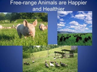 Free-range Animals are Happier and Healthier