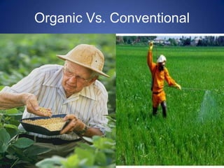 Organic Vs. Conventional