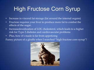 High Fructose Corn SyrupIncrease in visceral fat storage (fat around the internal organs)Fructose requires your liver to produce more fat to combat the effects of the sugar.Increasedoxidization of LDL cholesterol, which leads to a higher risk for Type 2 diabetes and cardiovascular problemsPlus, how it’s made is far from appetizingFunny picture of a giraffe when I searched “high fructose corn syrup”!