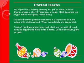 Potted Herbs Go to your local nursery and buy a 4” pot of herbs; such as:  thyme,   oregano, chervil, rosemary, or sage.  (Basil becomes too leggy, and is not a good   house plant.) Transfer from the plastic container to a clay pot and fill in the edges with   additional soil.  Water immediately and keep moist.   Take off the flowers from your herb plant and mix with olive oil, salt and pepper and make it into a paste.  Use it on chicken, pork, or beef.      