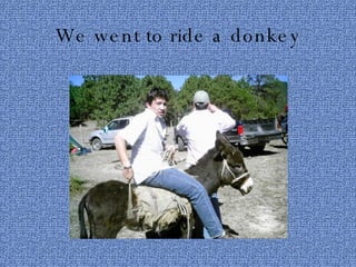 We went to ride a donkey 