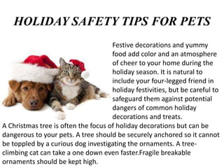 HOLIDAY SAFETY TIPS FOR PETS
Festive decorations and yummy
food add color and an atmosphere
of cheer to your home during the
holiday season. It is natural to
include your four-legged friend in
holiday festivities, but be careful to
safeguard them against potential
dangers of common holiday
decorations and treats.
A Christmas tree is often the focus of holiday decorations but can be
dangerous to your pets. A tree should be securely anchored so it cannot
be toppled by a curious dog investigating the ornaments. A tree-
climbing cat can take a one down even faster.Fragile breakable
ornaments should be kept high.
 