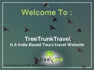 TreeTrunkTravel
Is A India Based Tours travel Website
© 2016 All rights reserved. TREE TRUNK TRAVEL
 