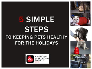 5 SIMPLE
STEPS
TO KEEPING PETS HEALTHY
FOR THE HOLIDAYS
 