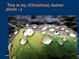 This is my (Christinas) Autmn photo :-)‏ 