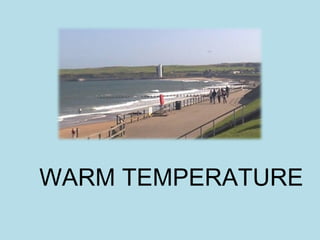WARM TEMPERATURE
