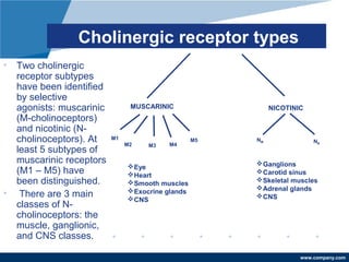 www.company.com
Cholinergic receptor types
• Two cholinergic
receptor subtypes
have been identified
by selective
agonists: muscarinic
(M-cholinoceptors)
and nicotinic (N-
cholinoceptors). At
least 5 subtypes of
muscarinic receptors
(M1 – M5) have
been distinguished.
• There are 3 main
classes of N-
cholinoceptors: the
muscle, ganglionic,
and CNS classes.
MUSCARINIC NICOTINIC
M1
M2 M3 M4
M5
Eye
Heart
Smooth muscles
Exocrine glands
CNS
NM NN
Ganglions
Carotid sinus
Skeletal muscles
Adrenal glands
CNS
 