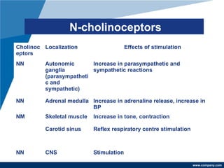 www.company.com
N-cholinoceptors
Cholinoc
eptors
Localization Effects of stimulation
NN Autonomic
ganglia
(parasympatheti
c and
sympathetic)
Increase in parasympathetic and
sympathetic reactions
NN Adrenal medulla Increase in adrenaline release, increase in
BP
NM Skeletal muscle Increase in tone, contraction
Carotid sinus Reflex respiratory centre stimulation
NN CNS Stimulation
 