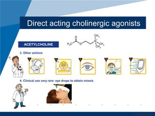 www.company.com
Direct acting cholinergic agonists
ACETYLCHOLINE
3. Other actions
4. Clinical use very rare: eye drops to obtain miosis
 