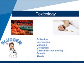 www.company.com
Toxicology
Salivation
Lacrimation
Urination
Defecation
Gastrointestinal motility
Emesis
Miosis
 