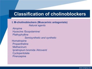 www.company.com
Classification of cholinoblockers
• I. M-cholinoblockers (Muscarinic antagonists)
• Natural agents
• Atropine
• Hyoscine /Scopolamine/
• Plathyphylline
• Semisynthetic and synthetic
• Homatropine
• Propantheline
• Methacinum
• Ipratropium bromide /Atrovent/
• Cyclopentolate
• Pirenzepine
 