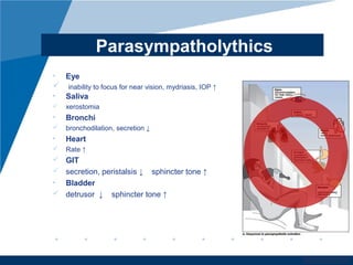www.company.com
Parasympatholythics
• Eye
 inability to focus for near vision, mydriasis, IOP ↑
• Saliva
 xerostomia
• Bronchi
 bronchodilation, secretion ↓
• Heart
 Rate ↑
 GIT
 secretion, peristalsis ↓ sphincter tone ↑
• Bladder
 detrusor ↓ sphincter tone ↑
 