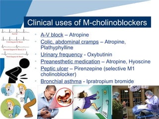 www.company.com
Clinical uses of M-cholinoblockers
• A-V block – Atropine
• Colic, abdominal cramps – Atropine,
Plathyphylline
• Urinary frequency - Oxybutinin
• Preanesthetic medication – Atropine, Hyoscine
• Peptic ulcer – Pirenzepine (selective M1
cholinoblocker)
• Bronchial asthma - Ipratropium bromide
 