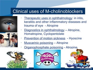 www.company.com
Clinical uses of M-cholinoblockers
• Therapeutic uses in ophthalmology: in iritis,
keratitis and other inflammatory diseases and
trauma of eye - Atropine
• Diagnostics in ophthalmology – Atropine,
Homatropine, Cyclopentolate
• Prevention of motion sickness - Hyoscine
• Muscarinic poisoning – Atropine
• Organophosphate poisoning - Atropine
 