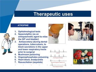 www.company.com
Therapeutic uses
ATROPINE
1. Ophtalmological tests
2. Spasmolythic (as an
antispasmodic agent to relax
the GIT and bladder)
3. Antisecretory (during dental
operations, tuberculosis, to
block secretions in the upper
and lower respiratory tracts
prior to surgery)
4. Mushroom poisoning
5. Organophosphates poisoning
6. Heart block, bradycardia
7. Resuscitation (asystole)
 