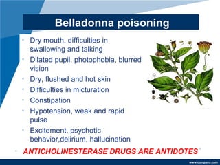 www.company.com
Belladonna poisoning
• Dry mouth, difficulties in
swallowing and talking
• Dilated pupil, photophobia, blurred
vision
• Dry, flushed and hot skin
• Difficulties in micturation
• Constipation
• Hypotension, weak and rapid
pulse
• Excitement, psychotic
behavior,delirium, hallucination
• ANTICHOLINESTERASE DRUGS ARE ANTIDOTES
 