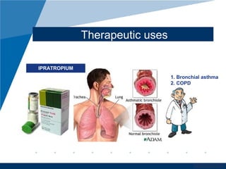 www.company.com
Therapeutic uses
IPRATROPIUM
1. Bronchial asthma
2. COPD
 