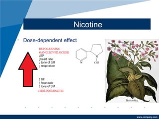 www.company.com
Nicotine
• Dose-dependent effect
 