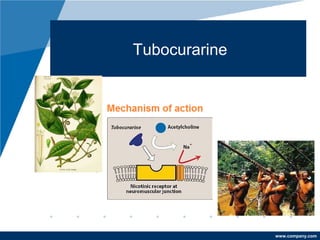 www.company.com
Tubocurarine
 