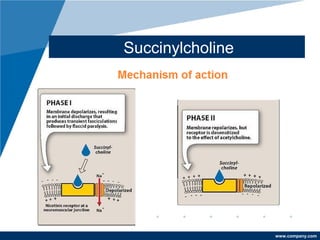 www.company.com
Succinylcholine
 