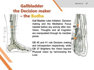 Gallbladder
the Decision maker
– the Budha
http://acu.in 27
Gall Bladder rules Initiation, Decision
making and the Meditative Focus
needed before any activity after rest.
Vision, Thoughts and all Cognition
are manipulated through its meridian
points.
GB 40 and 41 rule Decision making
and Introspection respectively, while
GB 37 Brightens the Vision beyond
Physical vision by harmonizing the
Liver.
 