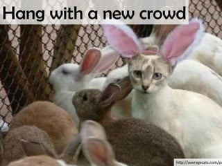 Business Origami (@jessmcmullin)Tools and Methods