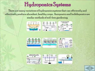 There are many variations of hydroponics systems that can efficiently and effectively produce abundant, healthy crops.  Aeroponics and bubbleponics are similar methods of soil-free gardening. 
